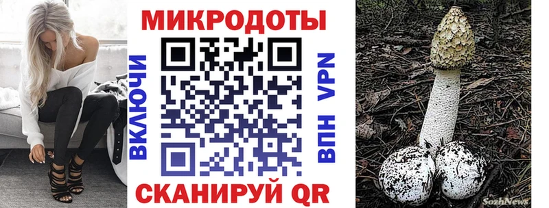 наркота  Мостовской  Псилоцибиновые грибы Psilocybine cubensis 